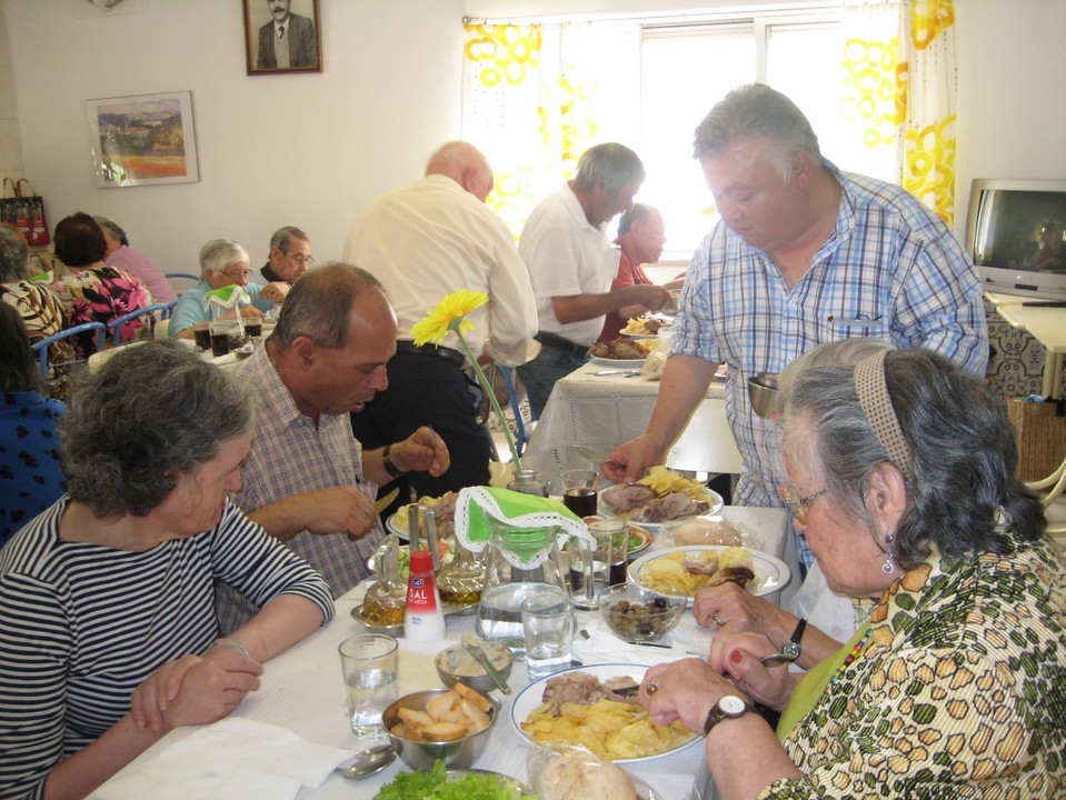 galeria 14